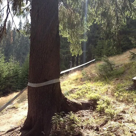 Lägenhet In Castle Complex Pamporovo